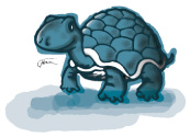 Image d'une tortue.